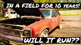 1979 Chevy Nova Will It Run?( In A Field For 10 Years!!)