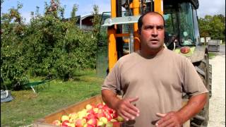 Arboriculture - Adefa Charente