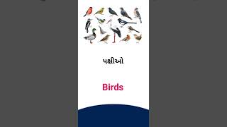 Birds meaning in Gujarati  -  English Dictionary