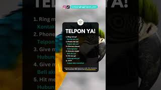 telepon ya...