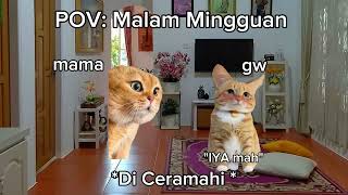 pov : malam Mingguan🤣🤣 | meme kucing | POV kucing