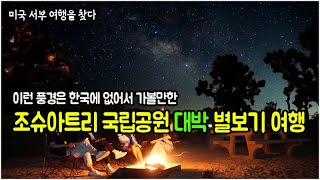 한국에는 없는 풍경 조슈아트리 국립공원, 미국 서부 사막에서 바베큐, 불멍, 온천, 수영장이 있는 리조트를 즐기고 싶다면 이곳을 포함하세요