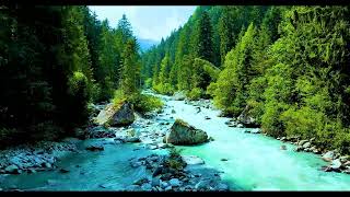 Beautiful River | Earth's Splendor