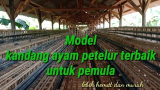 Kandang ayam petelur terbaik untuk pemula