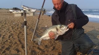 SURFCASTING all'ORATA | VIDEO DI PESCA IN MARE A FONDO AD ORATE GRANDI | ORATA BIG