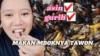 MAKAN EKSTRIM ❗MAKAN MBOKNYA TAWON , RASANYA GURIH GIMANA GITU 😆😆