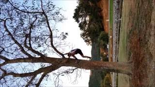 Wall run tree climb - for mobile