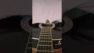 Weird solo, #funnyvideo #solo #guitar