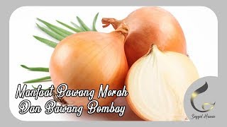 SEMPAT GAK PERCAYA ! TERNYATA ini Manfaat Bawang Merah Dan Bombay -  Kesehatan Ala Nabi