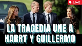 La Tragedia une a Harry y Guillermo