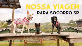 Socorro - uma cidade pet friendly