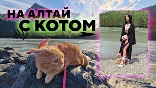 АСМР О поездке на Алтай с котом Бертиком