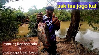 PAK TUA JOGO KALI MANCING CESTING IKAN HAMPALA DI SAAT SUNGAI BANJIR BESAR