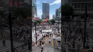 #Shibuya #Crossing #Japan #trip #2023 Where are all these people coming from? 🤣