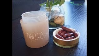 DNA LIFE BERMANFAAT REGENERASI SEL RUSAK