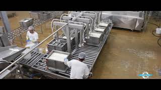 Uzermak Haloumi dairy processing machinery