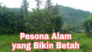 Bikin betah pemandangan luar biasa || Pesona alam terbentang luas