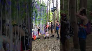 SHERWOOD ELECTRIC FOREST 2024 #festival #electricforest #edm #dj #music #party #michigan #camping