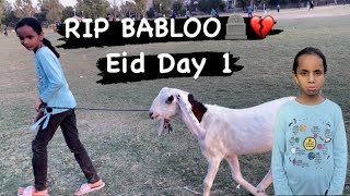 RIP Babloo😢 | Aisha Emotional Ho Gai | Miss You Babloo❤️