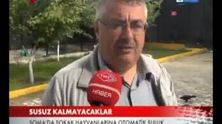 Sokak Hayvanlara otomatik suluklar TRT HABER'de...