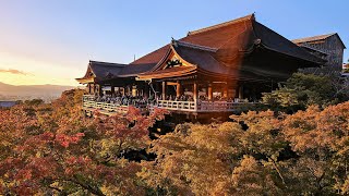 Herbstlaubfärbung in Kyoto - Japanreise 2023