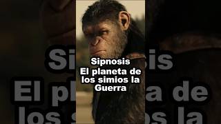 Sipnosis: El planeta de los Simios la Guerra #peliculas #resumen #cine #movie #shortsviral #shorts