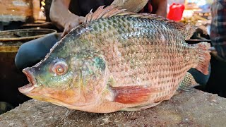 Amazing Tilapia Fish Cutting Skills Live In South Asian Fish Market। Fish Cutting Video