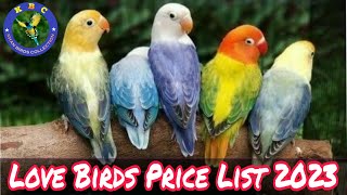 Love Birds Price List 2023 | Beautiful Love Birds Mutations In Pakistan 2023 | EP 42