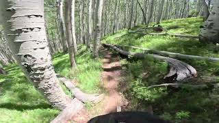 Kachina Peak Wilderness Mt. Humphrey Loop AZT Waterline Road Inner Basin Trail, Mountain Biking