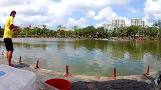 Singapore Fishing Pasir Ris Main Pond D'Best PRMP - Luring - Tsurinoya Jaguar 1000