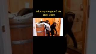 Arkadaşın attığı video #Shorts