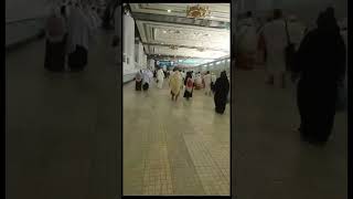 Safa Marwah | #makkah #religion #live  #mecca