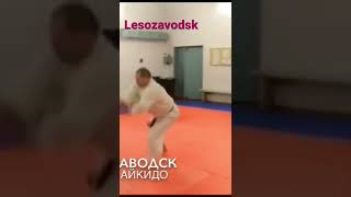 Aikido game