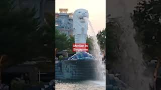 Merlion in Singapore#short #shortvideo