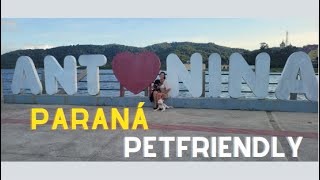 Viagem com seu cachorro: Antonina Paraná