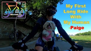 My First Long Ride With My Human | Paige-Princess Shih Tzu | Rad Cyclist