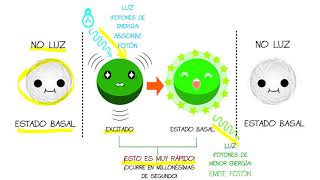 Luces Forenses, fluorescencia, video 2