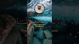 QURAN RECITATION SURAH YASEEN RECITER SHAIKH KHALID JALEEL | قراءة قرآن سورة ياسين #quran #tilawat