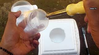 make a simple hydroponic holder from styrofoam used in rice boxes