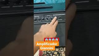 😱😱😱😱amplificador de guitarra GIANNINI top D+++#shorts #guitarrista #guitarra