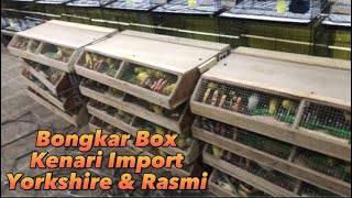 UNBOXING ‼️ Kenari Yorkshire YS Malta Ring BBA & Rasmi Kenari Iran