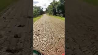 KEPZ Beautiful  Road View ||Bike Travel || 2022