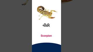 Scorpion meaning in Gujarati - English Dictionary