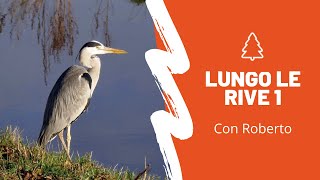 Lungo le Rive (prima parte) - Viaggio attraverso le rive dei fiumi Adige e Isarco