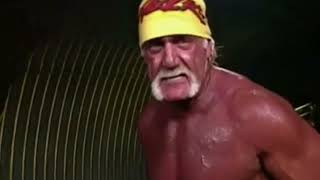 YTP Hulk Hogan Will Never Stop Spreading The Love