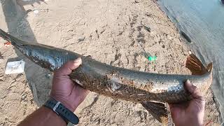 Ohio river Bank Fishing(long nose gar)7-13-20