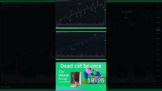 Dead cat bounce part 3 #stocks  #stockmarket