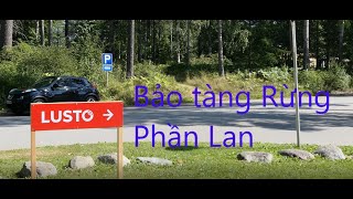 Bảo tàng rừng  Phần Lan -Lusto Punkaharju