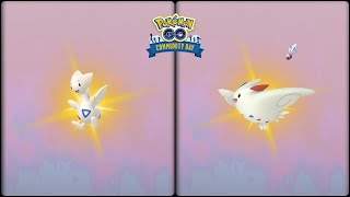 Pokemon Go: Evolving Shiny Togetic & Shiny Togekiss (Community Day Aura Sphere)