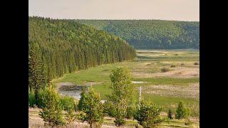 Из города в деревню/ Все бросили и уши в лес